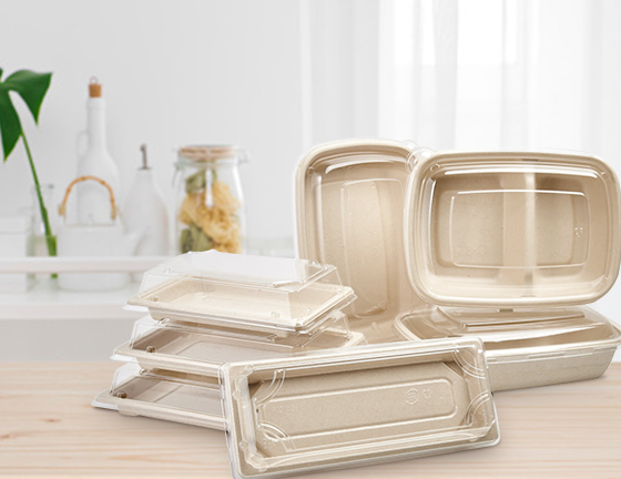 Takeaway Containers